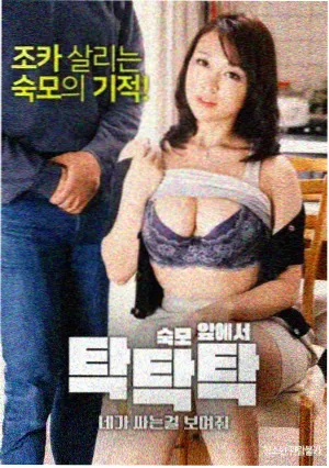 北纬四十三度观测站凭证档案封面